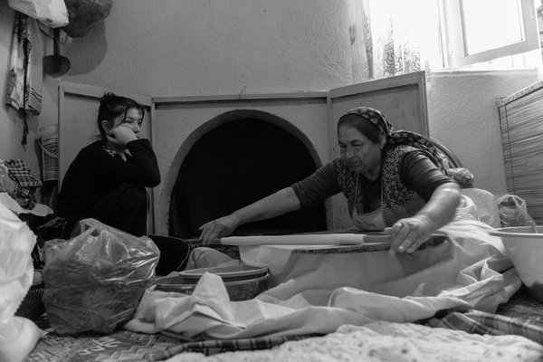 La truffe noire : le diamant de la gastronomie